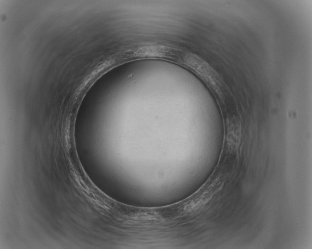 X0000086330386200703301235