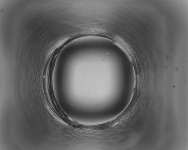 X0000086330389200703301235