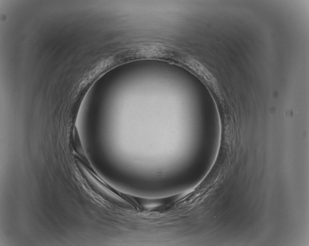 X0000086330393200703301235