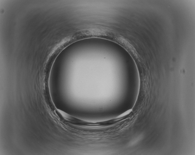 X0000086330395200703301235
