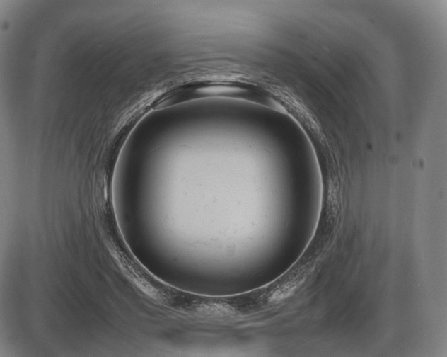 X0000086330397200703301235