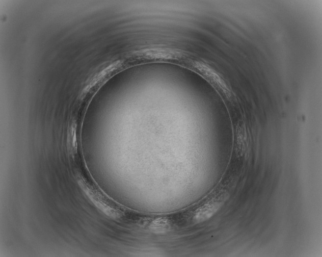 X0000086330398200703301235