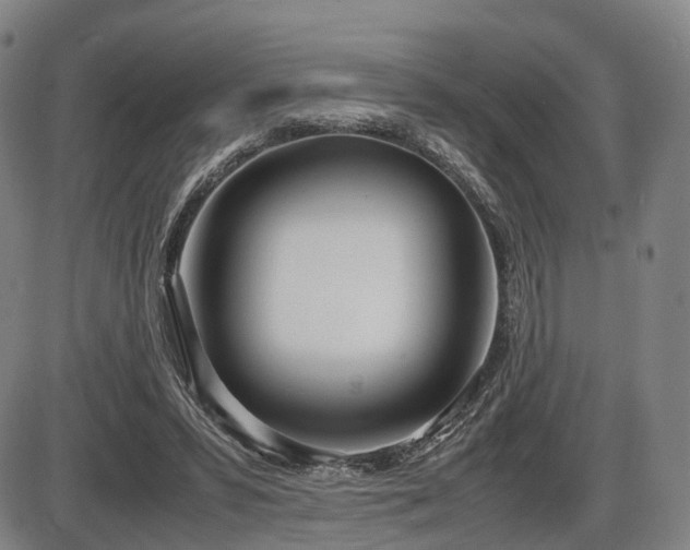 X0000086330399200703301235