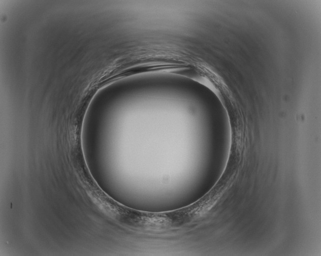 X0000086330401200703301235