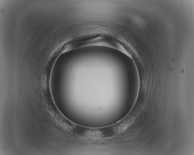 X0000086330403200703301235