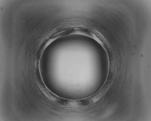 X0000086330405200703301235
