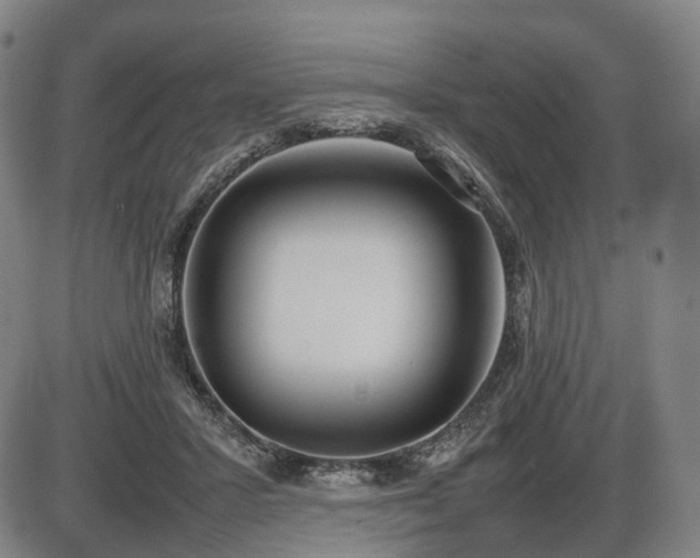 X0000086330407200703301235