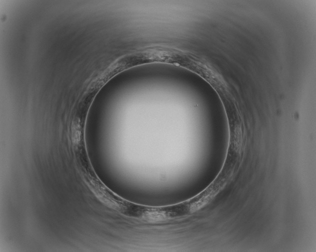 X0000086330413200703301235