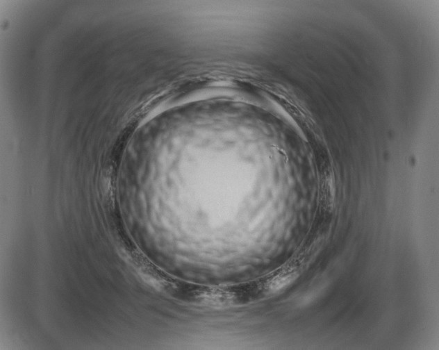 X0000086330415200703301235
