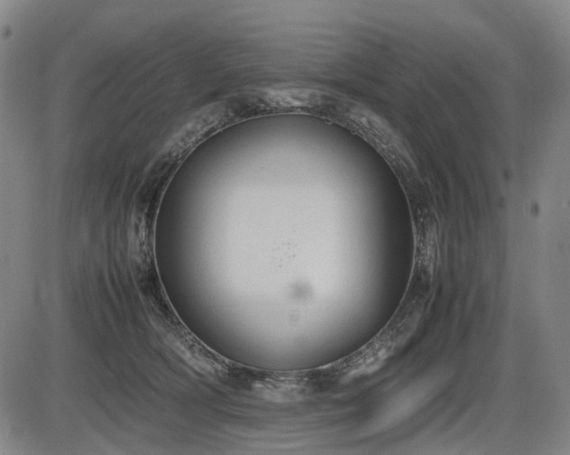 X0000086330418200703301235