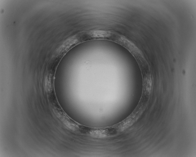 X0000086330422200703301235