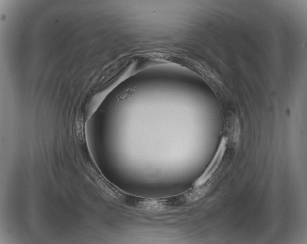 X0000086330425200703301235