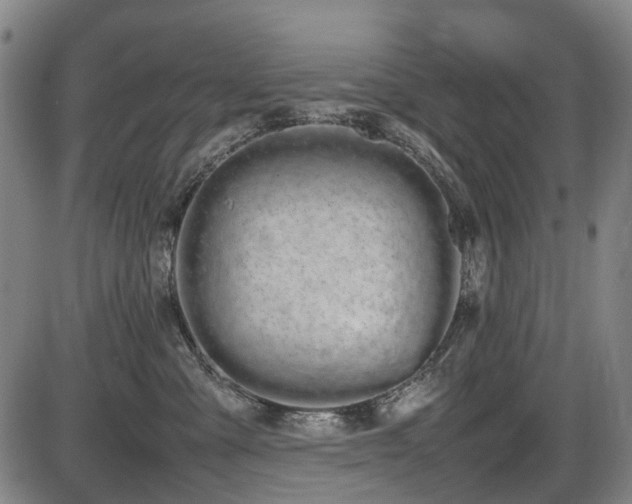 X0000086330427200703301235
