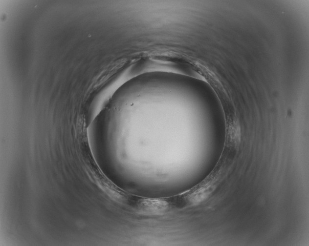 X0000086330429200703301235