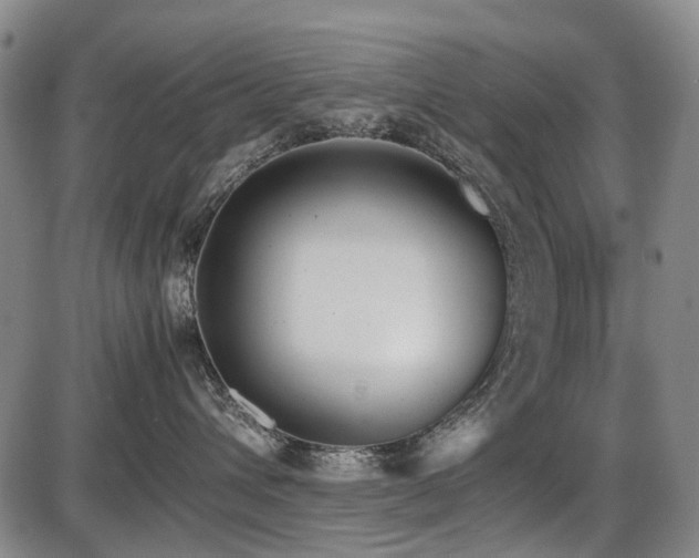 X0000086330432200703301235