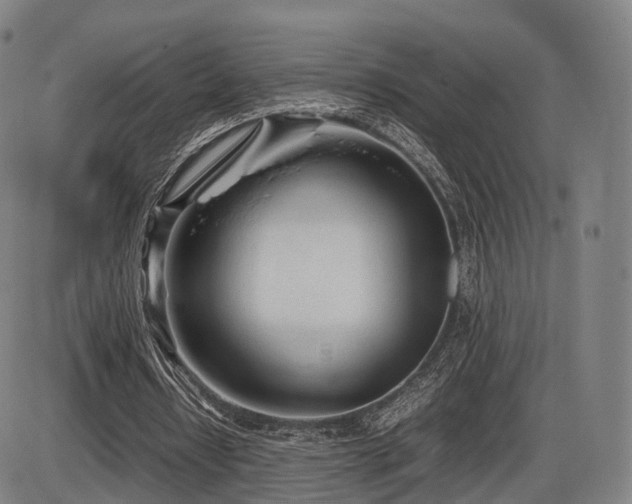 X0000086330434200703301234
