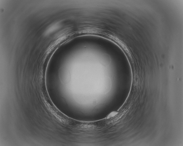 X0000086330437200703301234