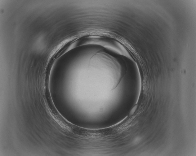 X0000086330438200703301234
