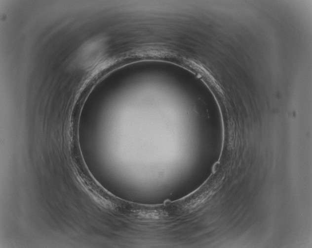 X0000086330439200703301234