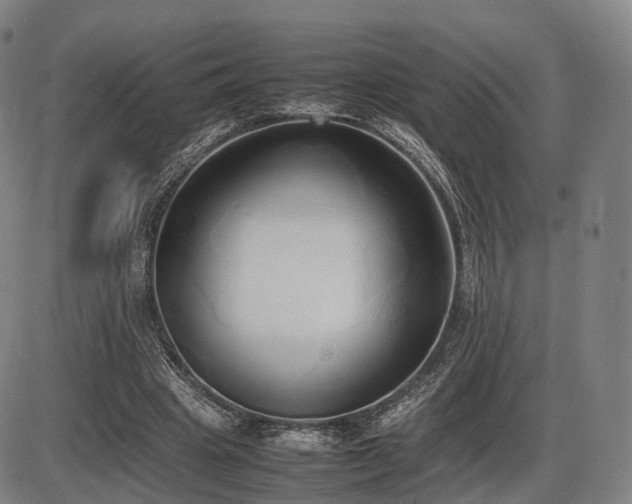 X0000086330441200703301234