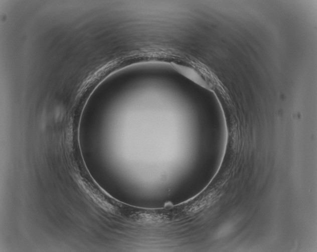 X0000086330442200703301234