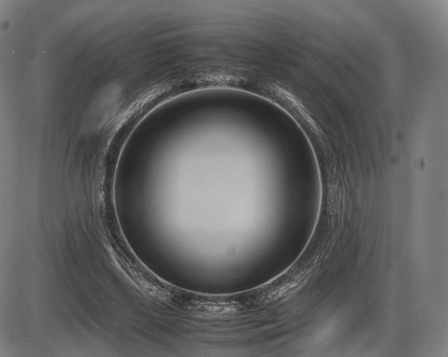 X0000086330443200703301234