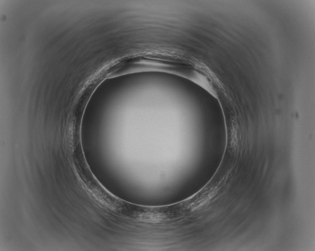 X0000086330444200703301234