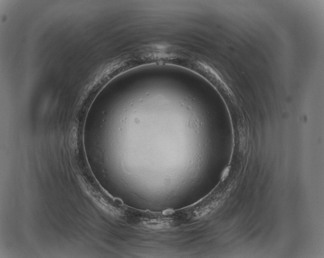 X0000086330447200703301234