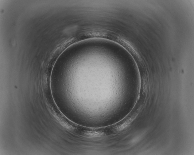 X0000086330453200703301234
