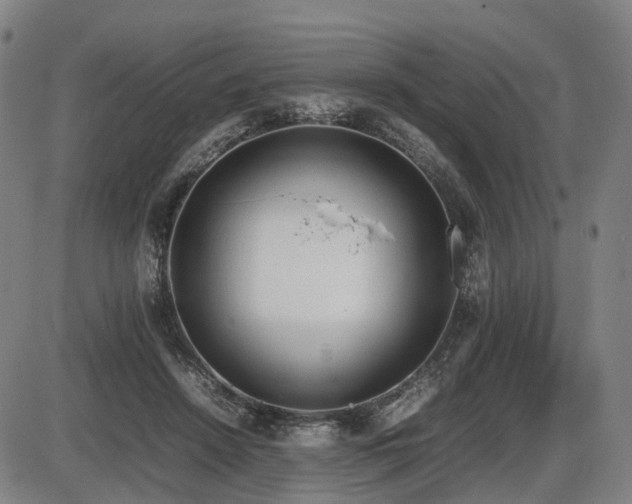 X0000086330456200703301234