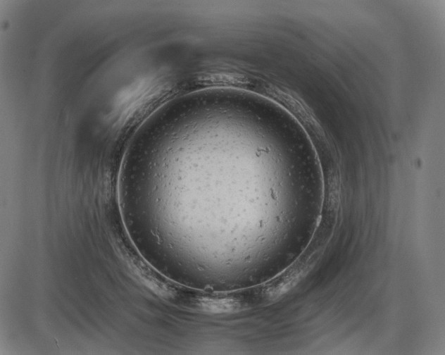 X0000086330457200703301234