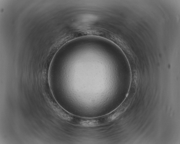 X0000086330461200703301234