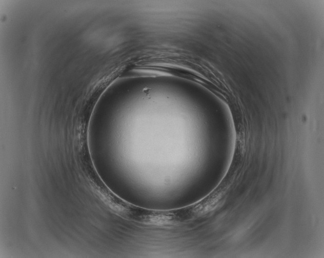 X0000086330462200703301234