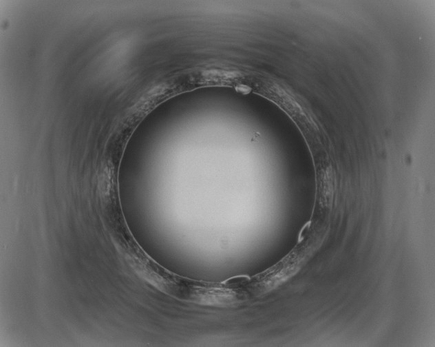 X0000086330463200703301234