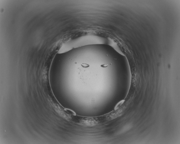 X0000086330466200703301234
