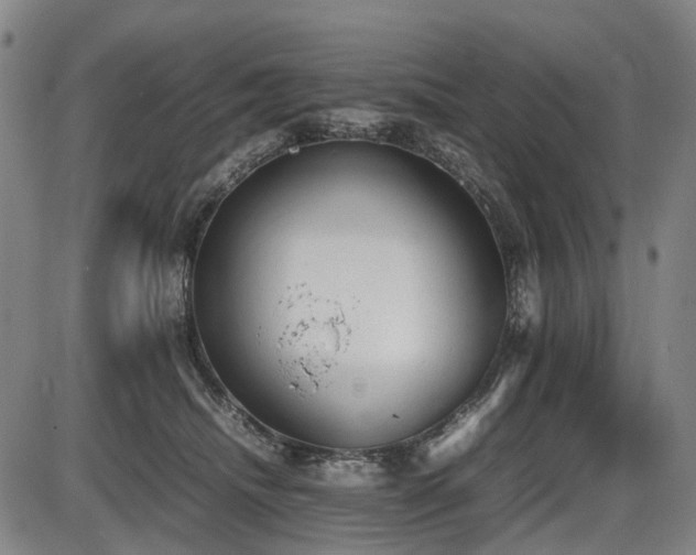 X0000086330468200703301234