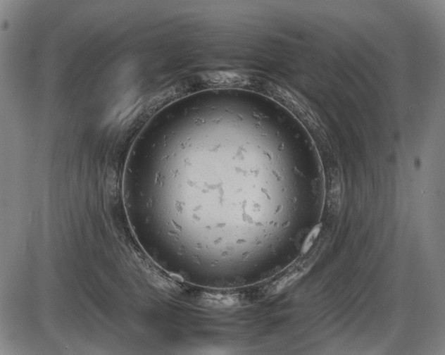 X0000086330469200703301234