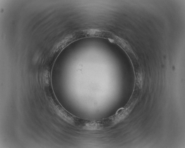 X0000086330470200703301234