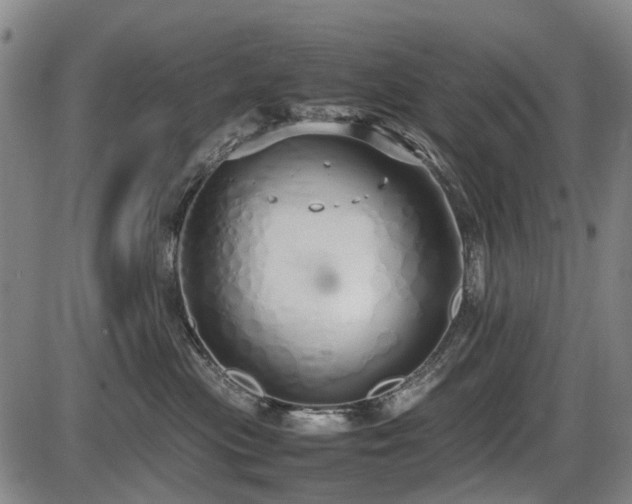 X0000086330477200703301234