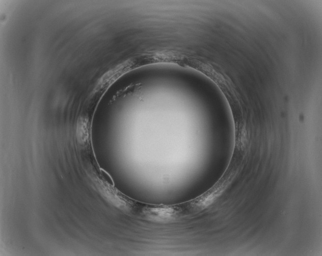 X0000086330478200703301234