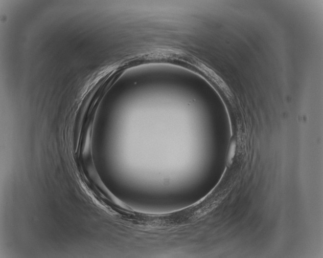 X0000086330485200703301234