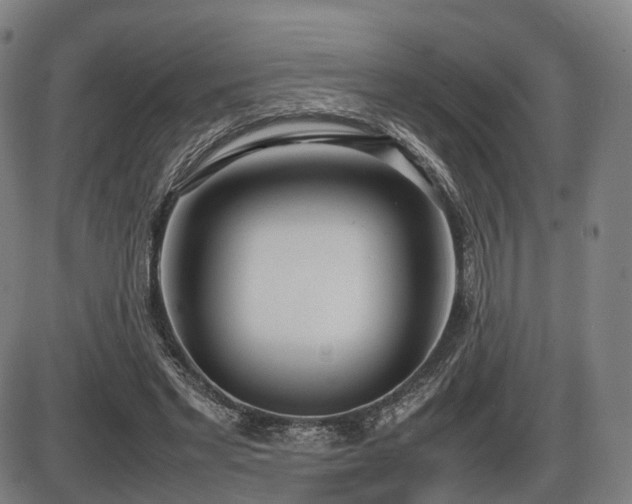 X0000086330493200703301233