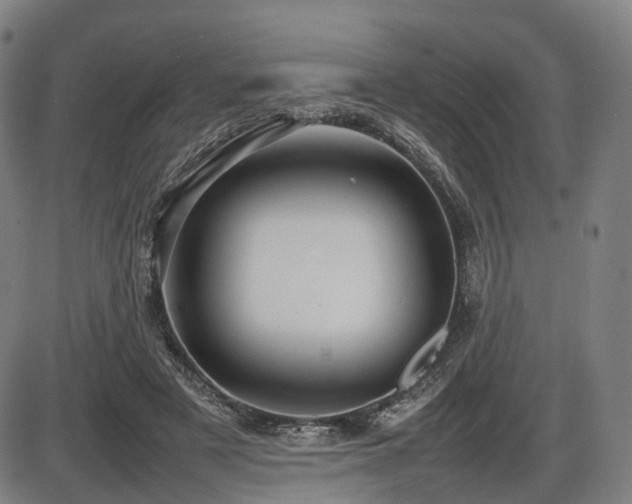 X0000086330497200703301233