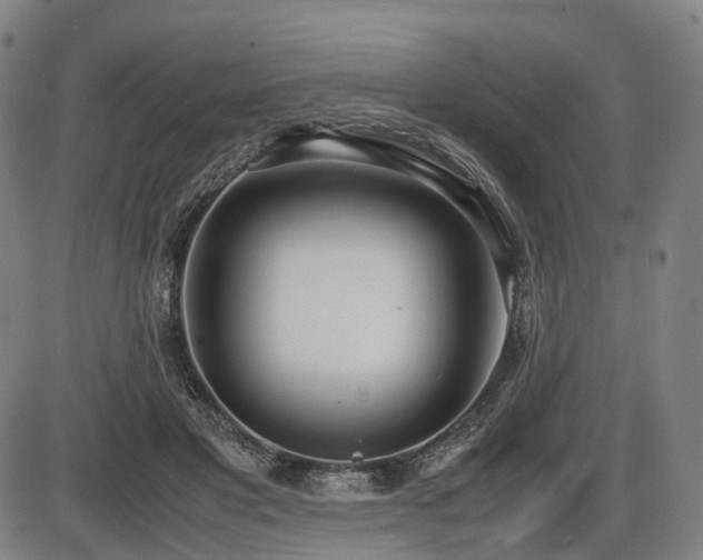 X0000086330501200703301233