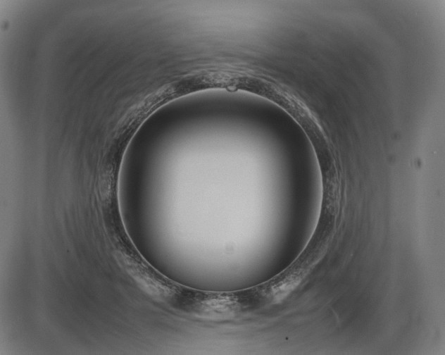 X0000086330505200703301233
