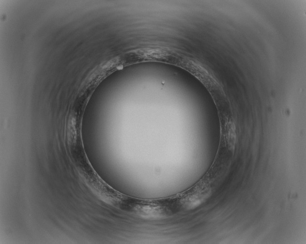 X0000086330506200703301233