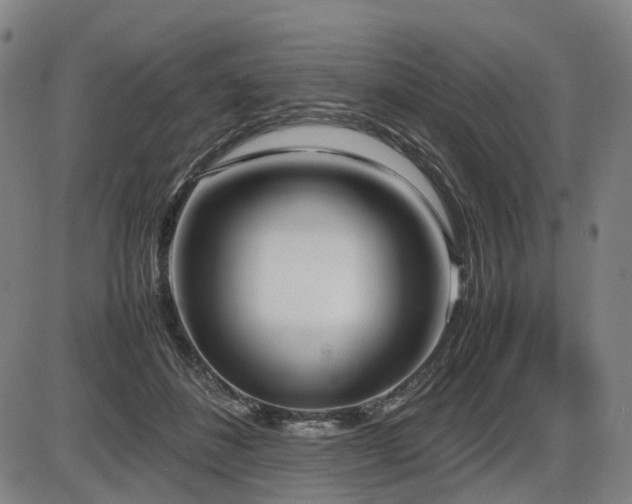 X0000086330508200703301233