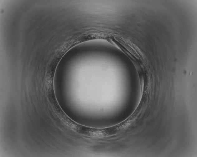 X0000086330513200703301233