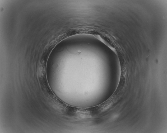 X0000086330515200703301233