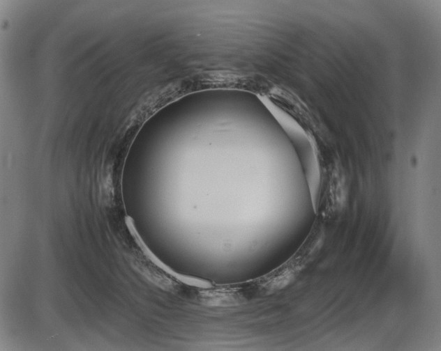 X0000086330516200703301233